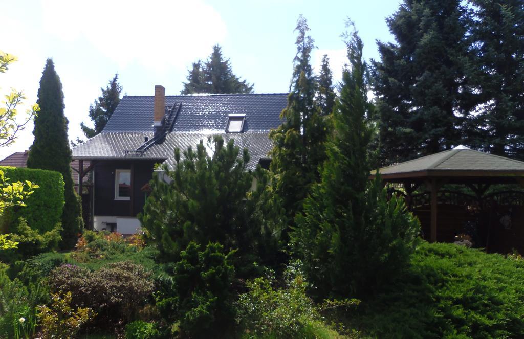 Zur Muehle Villa Straupitz Bagian luar foto